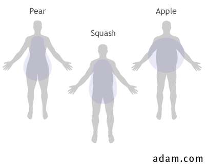 Three Body Shapes